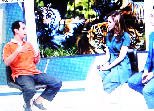 Marison Guciano in a Live Interview with KOMPAS TV: Using of Wildlife Cub for Photo Prop is a Crime (March 16, 2017)